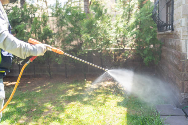 Best Wasp Removal Services  in Independence, WI