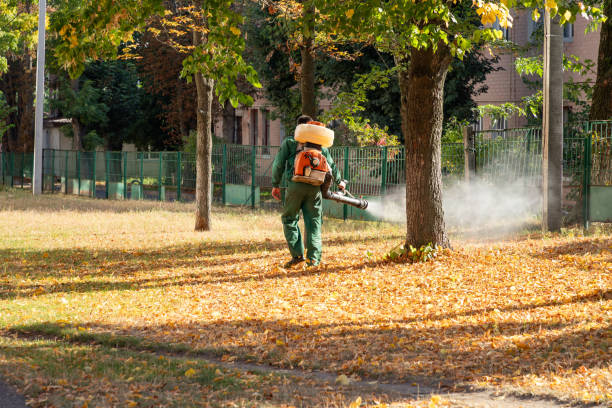 Insect Control in Independence, WI