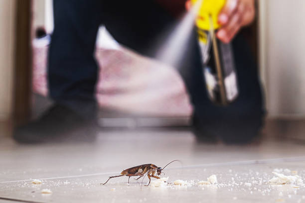 Best Residential Pest Control  in Independence, WI
